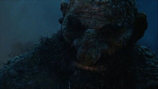 tROLL