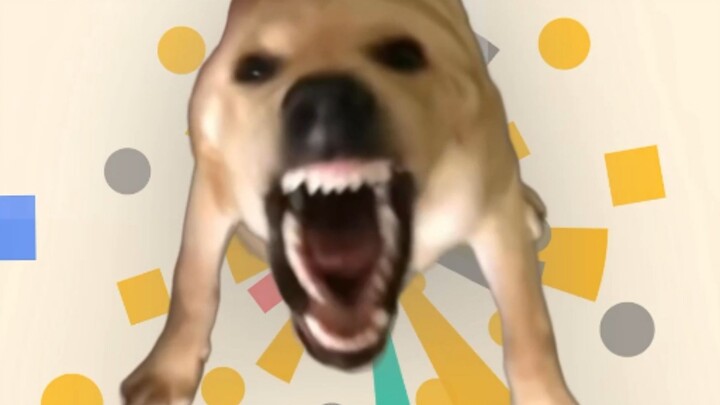 Click to play the world's most satisfying Hakimi simulator 【Bilibili AI Creation Open Competition】