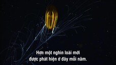 Hành Tinh Trái Đất 3 EP 2 [Sub Việt]