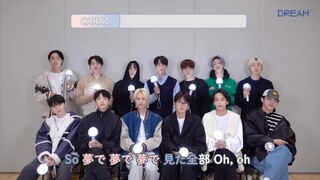 221109 SEVENTEEN DREAM 应援法 零站