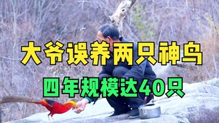 Kejutan paling tak terduga di dunia, seorang kakek penggembala domba secara tidak sengaja memelihara