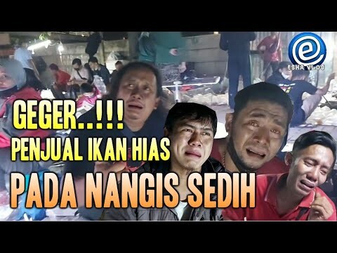 UPDATE HARGA IKAN HIAS BULAN MEI 2022 HABIS LEBARAN IDUL FITRI