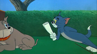 Tom never takes a beating for nothing.