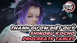Shinobu Kocho | Procreate Tablet