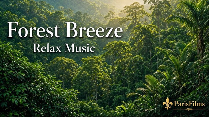 Forest Breeze | Green Mountain Canopy | Relax Music