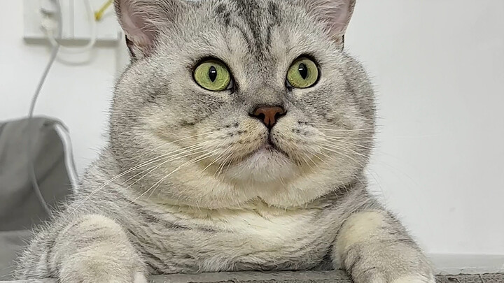 ต้าจ้วงดูคุณน้าฝึกเต้น