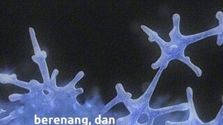 kamu tidak sendirian aku ada bersama mu