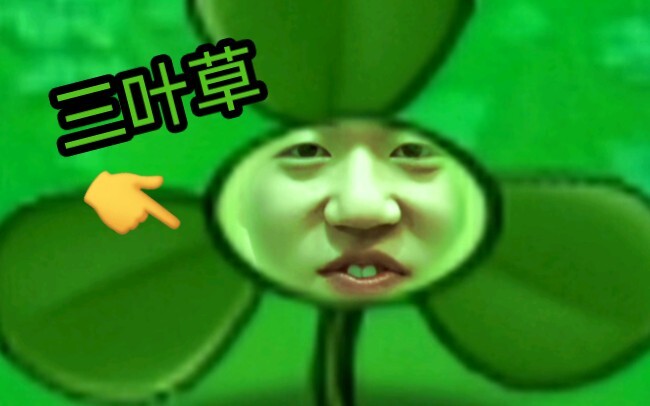 《 概 念 神 的 痛 》