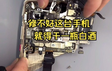 Kalau ponsel ini nggak bisa diperbaiki, aku harus minum sebotol arak putih—apakah kita sebaiknya ter