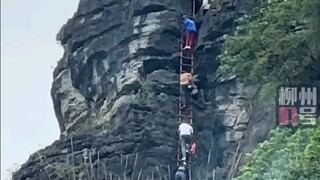 清明，广西人直接跨国扫墓 广西的家族拉练开始了