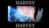 Amv aesthetic nisekoi- Harvey