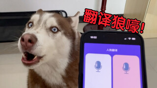 二哈狼嚎时，用狗语翻译器翻译一下，看看说了些啥？