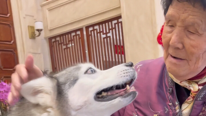 Lại một năm nữa, chúc mọi người Tết Nguyên Đán vui vẻ!