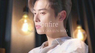 Bonfire cha eun-woo x peder elias #bonfire #chaeunwoo #pederelias#saranghe