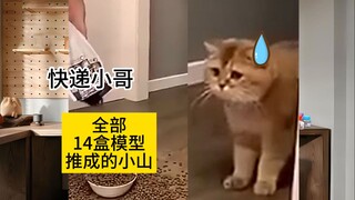 【高达代工日常6】前线任务，来袭！（前线任务篇） | 猫meme