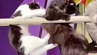 Đi nhanh lên, anh đã chậm trễ trong ca làm việc cuối cùng rồi.