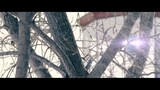 Owl City - Vanilla Twilight MV HD 🎥