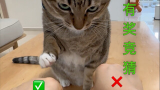 Kuis berhadiah (versi Da Mi), wajib, wajib, wajib banget ditonton sampai akhir!