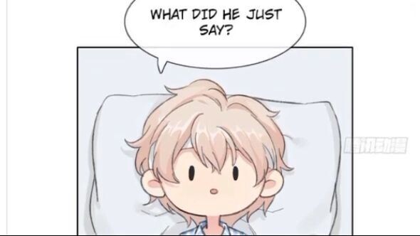 After Transmigrating As Cannon Fodder, All I Want Is A Divorce || Chapter 1 || [BL /yaoi manga]