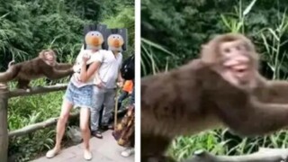 ฟันเฟืองแห่งโชคชะตา