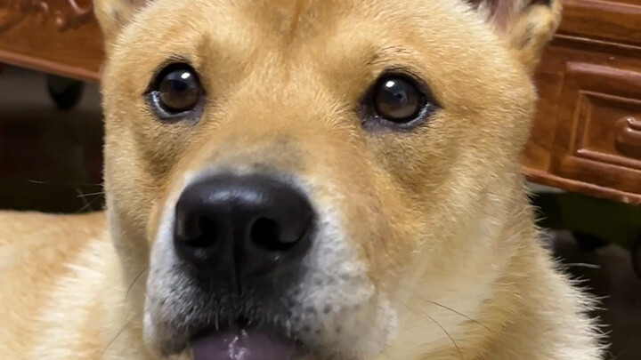 ซื้อด้วยเงินของคุณ