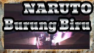 NARUTO | [Ansambel Multi-Instrumen] Gekijo Ban Naruto - OP - Burung Biru