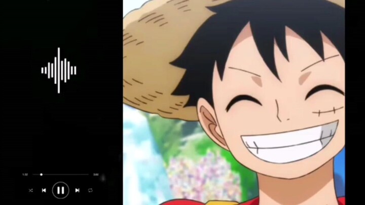 memang kocak nii luffy