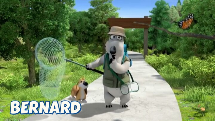 BERNARD BEAR || CATCH BUTTERFLIES - CARTOON CHILDREN