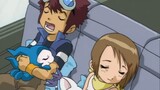 Anime|Pokémon|Motomiya Daisuke & Yagami Hikari