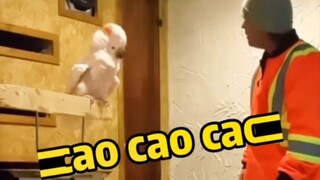 ภาษาอังกฤษระดับชาติขั้นแปด ตอนนี้มันใช้ชีวิตได้อย่างดี❤️ ทุกสิ่งล้วนมีจิตวิญญาณ มนุษย์และสัตว์อยู่ร่