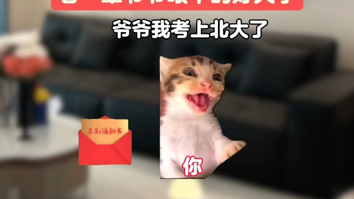 老一辈眼中的大学