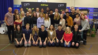 Broadway Balances America: Cats