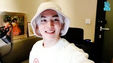 [SUB]키노테라피