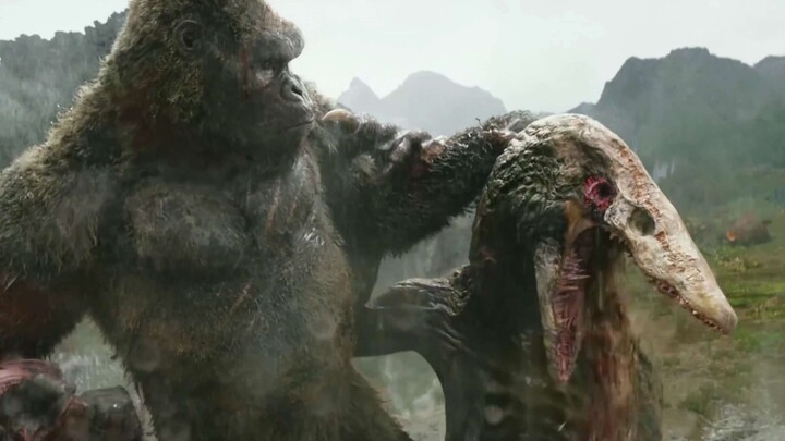 〖4K60 เฟรม〗 ดวลพีค! Kong vs. Skull Lizard