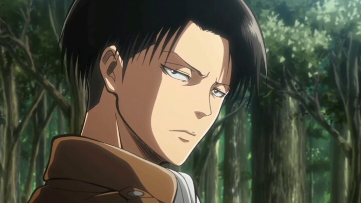 [Attack on Titan / Levi/Captain's Birthday] Early birthday congratulations! I hope everyone who like