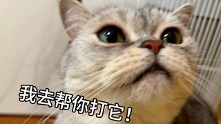 It understands what you say! And it’s so protective of its owner! Just who on earth is raising this 