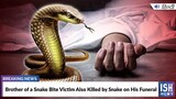 Brother of a Snake Bite Victim Also Killed by Snake on His Funeral | ISH News