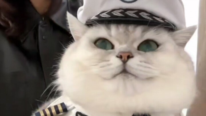 Even the “looks” game has drawn us old Finns in—seriously, he’s so handsome!