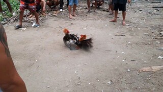 tablang kahoy