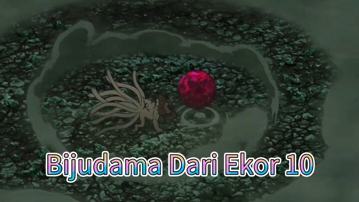 Bijudama Dari Ekor 10