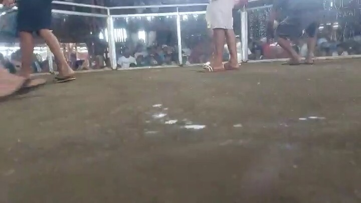 1st fight win