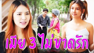 เมีย 3 ไม่ขาดรัก