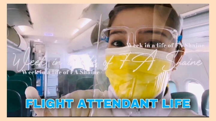 WEEK IN A LIFE OF A FLIGHT ATTENDANT | FA Shaine Buhat