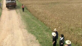 村长请来收割机帮村民收麦子，结果刚进村就碰上一个无赖