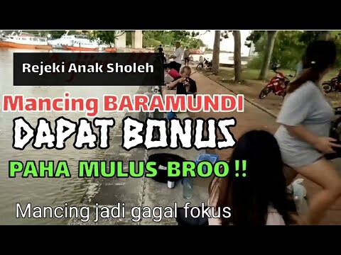 Rejeki!! Mancing BARAMUNDI dapat bonus Paha mulus jadi gagal fokus