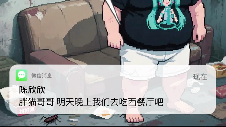 《当胖猫遇上捞女陈欣欣》
