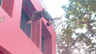 高端操作 这一招叫做 飞檐走壁