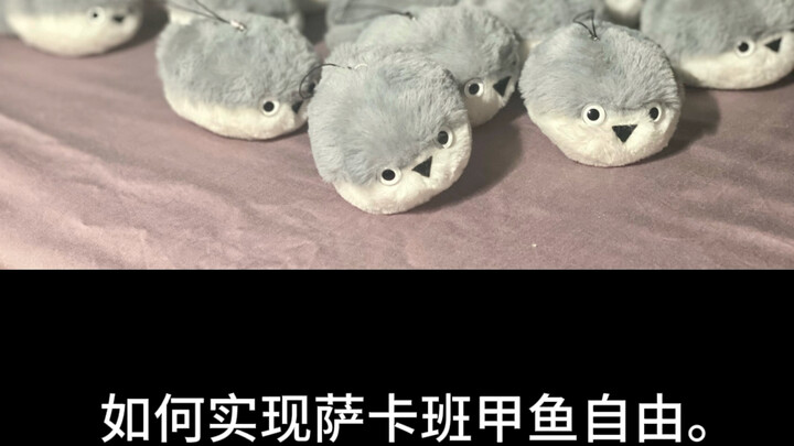 How to Achieve Sakaban Turtle Freedom