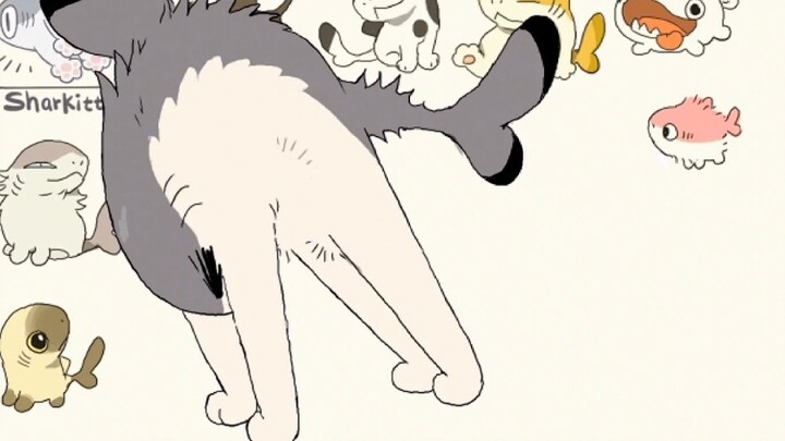 Sharkcat: Peregangan dangkal