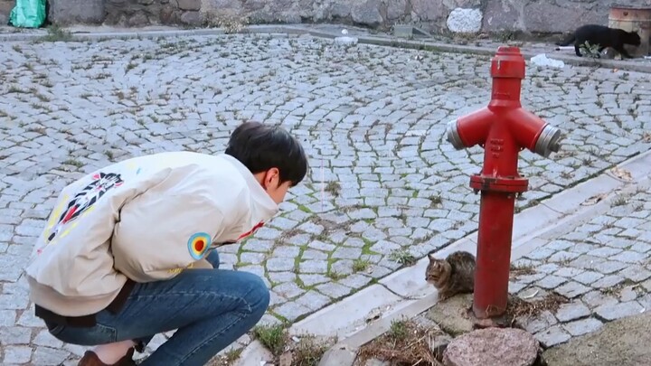 [park jaechan] how to feed a cat🐱